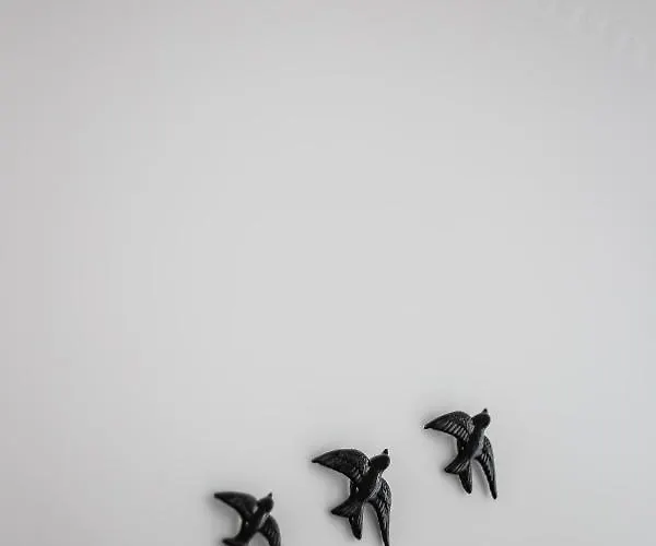 Alfama Chic Rua Dos Remedios *